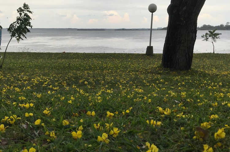 Foto principal de Rivera Este en Federacion