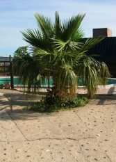 Foto 3 de Casas en Villa Ernestina en Estancia Vieja