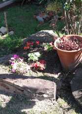 Foto 3 de la galería de PROMO POR VACAS DE INVIERNO 4X3 Tu Descanso en San Clemente en San Clemente Del Tuyú