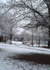 Foto 2 de la galería de La Martina Club Serrano Complejo de Cabañas en Nono