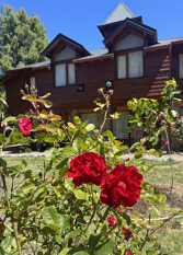 Foto 4 de Tinsel's House en San Carlos De Bariloche