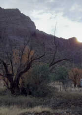Foto 3 de la galería de Eco Lago Chico en Valle Grande o Cañon del Atuel