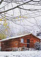 Foto 2 de la galería de Cabañas K Priccio en Potrerillos