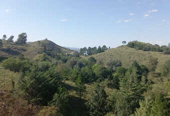Foto 1 de la galería de Torre Fragata en Villa Ciudad de América