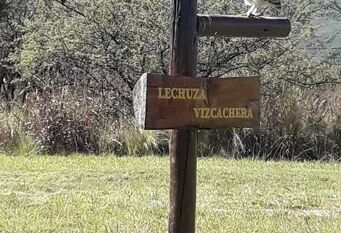 Foto 1 de la galería de Cabañas Brisa de Los Molles en Los Molles