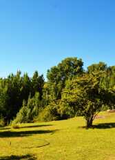 Foto 3 de la galería de Cabañas Paso Del Sauce en San Clemente