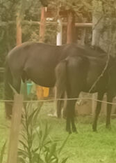 Foto 2 de la galería de Brisa del Cielo en Ciudad De Salta