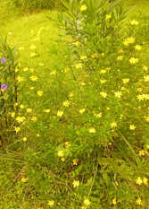 Foto 3 de la galería de Brisa del Cielo en Ciudad De Salta