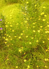 Foto 3 de la galería de Brisa del Cielo en Ciudad De Salta