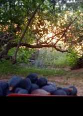 Foto 3 de Casa de montaña Las Trancas en Villa Union