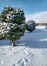 Foto 3 de la galería de The Blue Glacier en El Calafate