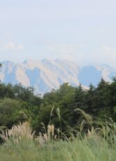 Foto 3 de la galería de Josefa, Complejo de Cabañas en Villa Cura Brochero