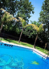 Foto 2 de la galería de Lemon Tree Hostel en Vistalba