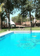 Foto 3 de la galería de Lemon Tree Hostel en Vistalba