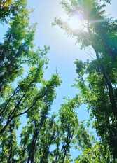 Foto 3 de la galería de Refugio de Uco en La Consulta