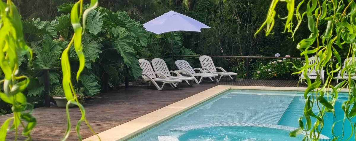 Foto principal de Bosque de Bohemia Delta Tigre en Delta del Tigre