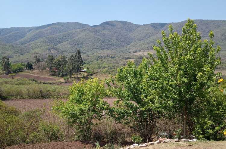 Foto principal de Cabañas Aguaribay en San Javier