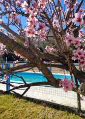 Foto 4 de Aires del Eden en La Falda