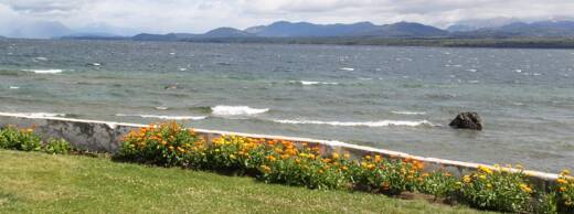 Vista - La Casa del Lago - Flores