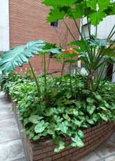 Foto 3 de la galería de Departamento 2 dorm.Excelente ubicación. Córdoba en Ciudad De Córdoba