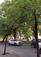 Foto 2 de la galería de Departamento 2 dorm.Excelente ubicación. Córdoba en Ciudad De Córdoba