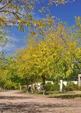 Foto 2 de la galería de Residencia Atuel Luxury en Valle Grande o Cañon del Atuel