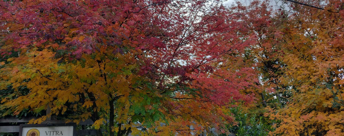 Foto principal de ATELIER en San Carlos De Bariloche