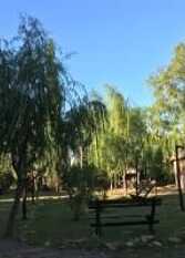 Foto 3 de la galería de Cabaña El Refugio del Atuel en San Rafael