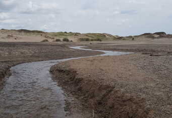 Foto 1 de la galería de Cabañas GATANOBY en Chapadmalal