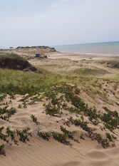 Foto 4 de Cabañas GATANOBY en Chapadmalal