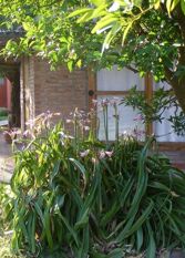 Foto 2 de la galería de Hotel Las Termas en Bernardo Larroude