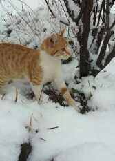 Foto 2 de la galería de Cabañas La Yunta en Villa Yacanto De Calamuchita