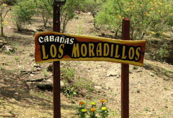 Foto 1 de la galería de Cabañas Los Moradillos en Cuesta Blanca