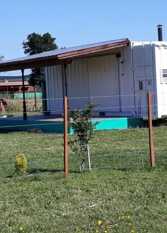 Foto 3 de la galería de Casa Container en Gardey, a 27 km de Tandil en Gardey