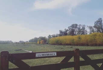 Foto 1 de la galería de La Hojarasca en Uribelarrea