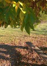 Foto 3 de la galería de La Hojarasca en Uribelarrea