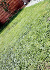 Foto 3 de la galería de Complejo Pedro Frattini en Ciudad De Córdoba