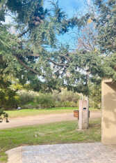 Foto 4 de Cábañas del arroyo villa ventana en Villa Ventana