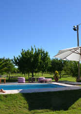 Foto 3 de la galería de Finca Fisterra en Maipu