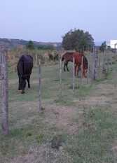 Foto 2 de la galería de Cabaña Lavandas de Altura - Villa Berna - Cumbrecita en Villa Berna