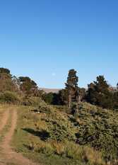 Foto 3 de la galería de Cabaña Lavandas de Altura - Villa Berna - Cumbrecita en Villa Berna