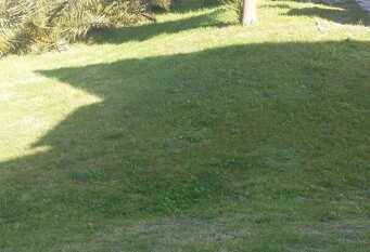 Foto 1 de la galería de Duplex Paraiso en Miramar