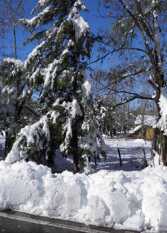 Foto 3 de la galería de Tierra de Sol Complejo de Cabañas en Tunuyan