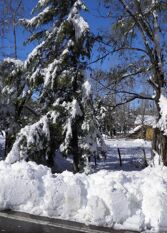 Foto 3 de la galería de Tierra de Sol Complejo de Cabañas en Tunuyan