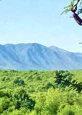 Foto 2 de la galería de Alpinas Icho Cruz en Villa Icho Cruz