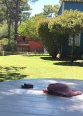 Foto 3 de la galería de Hermosa casa azul con hermoso parque en Villa Gesell