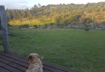 Foto 1 de la galería de Golpe de Agua, Naturaleza, paz y sosiego en Potrero De Garay