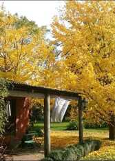 Foto 4 de Cabañas Chacra Mamuelquen en Chivilcoy