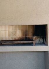 Foto 2 de la galería de Casa Lola en San Antonio De Arredondo