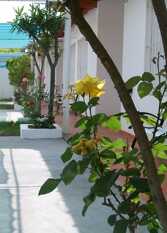 Foto 3 de la galería de Complejo Turístico Sanmir en Las Grutas